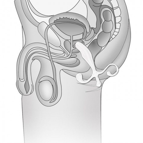 Белый массажер простаты - 12,7 см.